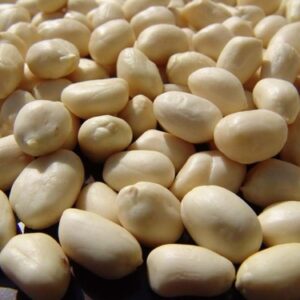 Blanched Peanuts